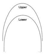 archform-trueform-2